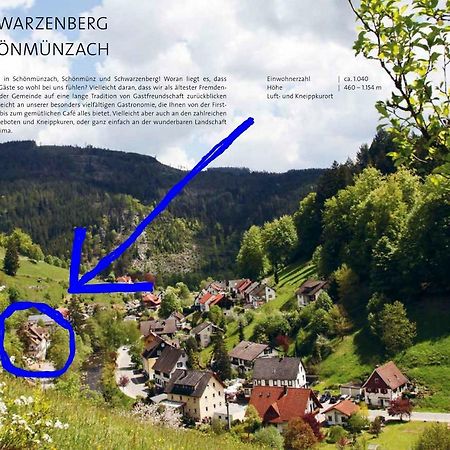 Adieu Alltag: Pension Oesterle Im Schwarzwald Schonmunzach Dış mekan fotoğraf