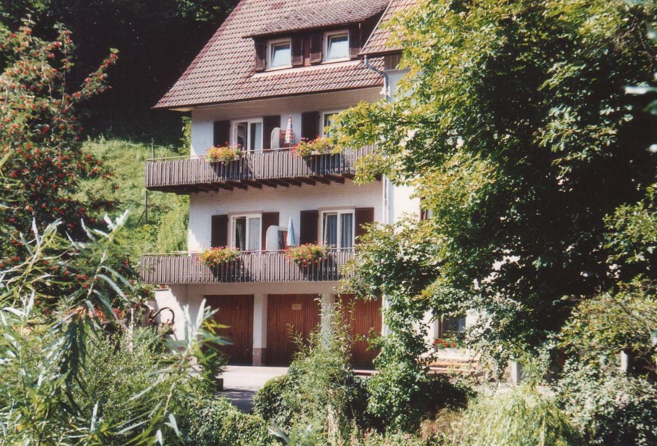 Adieu Alltag: Pension Oesterle Im Schwarzwald Schonmunzach Dış mekan fotoğraf