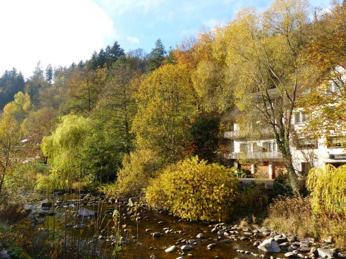 Adieu Alltag: Pension Oesterle Im Schwarzwald Schonmunzach Dış mekan fotoğraf
