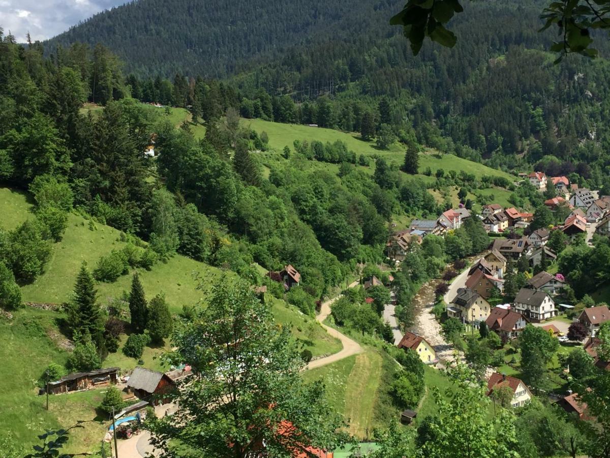 Adieu Alltag: Pension Oesterle Im Schwarzwald Schonmunzach Dış mekan fotoğraf