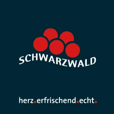 Adieu Alltag: Pension Oesterle Im Schwarzwald Schonmunzach Dış mekan fotoğraf